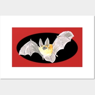 Bat outta Hell!...:o) Posters and Art